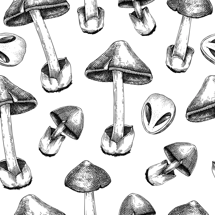 Straw mushroom texture design. Edible fungus background. Fungal protein, mycoprotein source. Edible mushroom seamless pattern. Healthy food and plant-based meat substitutes illustration for packaging 